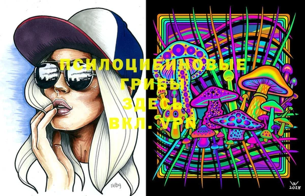 марки lsd Пересвет