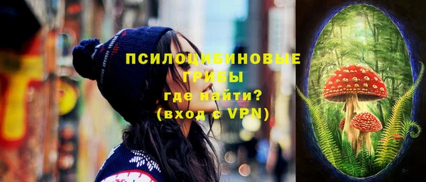 марки lsd Пересвет