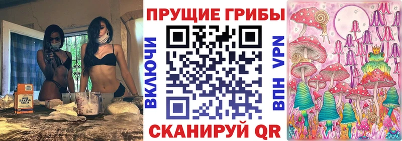 Галлюциногенные грибы Psilocybe  Купить где  Фатеж 