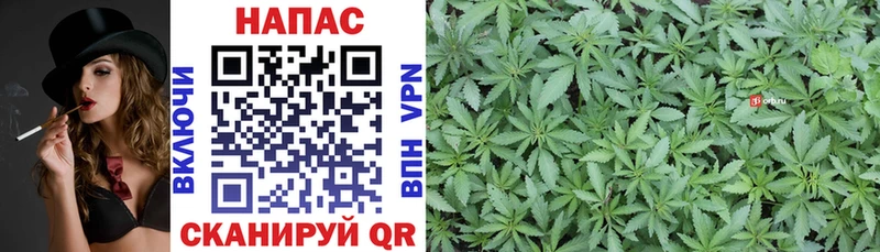 Канабис White Widow  Купить где  Фатеж 